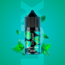 Ароматизатор Chaser Lux Turbo Mint (М'ята) 30ml