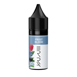 Ароматизатор Erra Day Frost Bloom (Асая Лохина Малина Лід) 15ml
