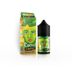 Ароматизатор In Bottle Puzzle 30ml Cactus (Кактус)