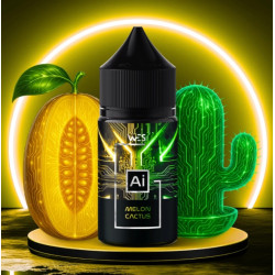 Ароматизатор Wes AI Melon Cactus 30ml - Wes AI 30мл